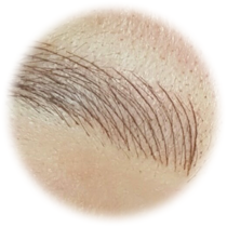 Eyebrow Microblading Certification from MD Esthetics - microblade-foundations